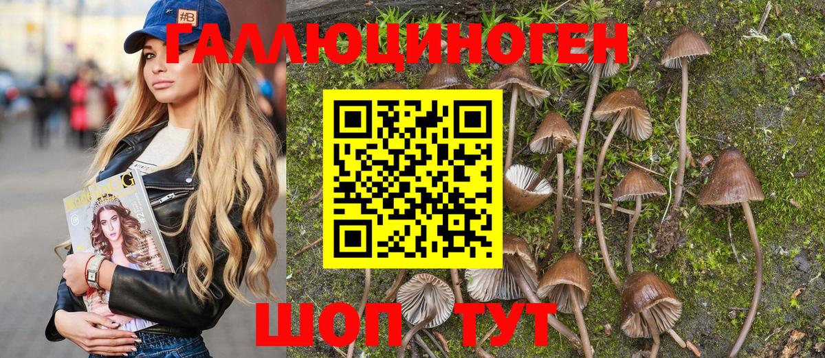 Курск  Псилоцибиновые грибы Cubensis  где продают   Вход с VPN 