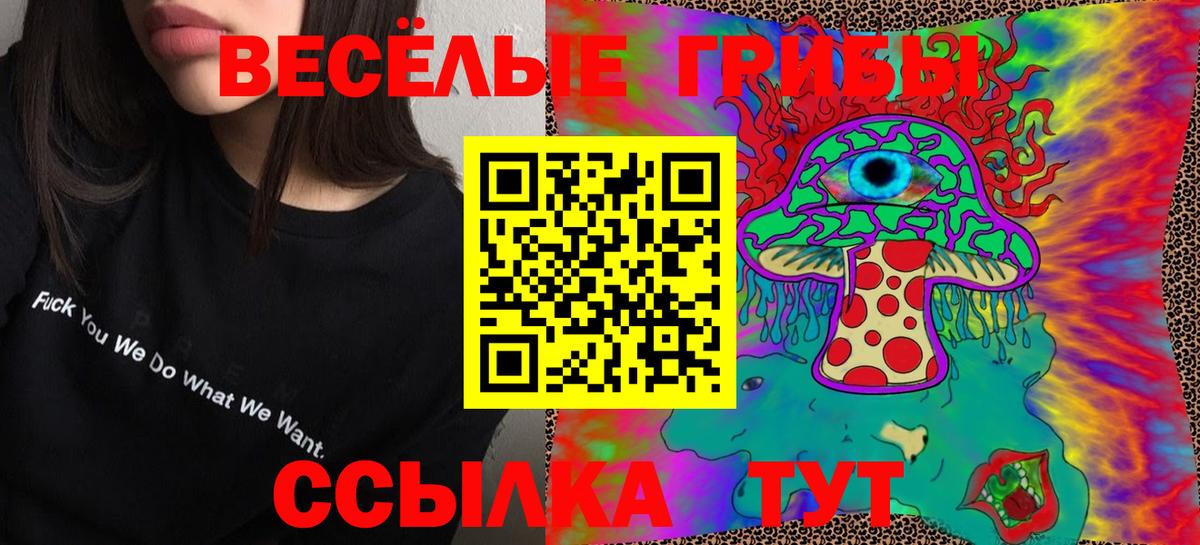 Галлюциногенные грибы прущие грибы Курск